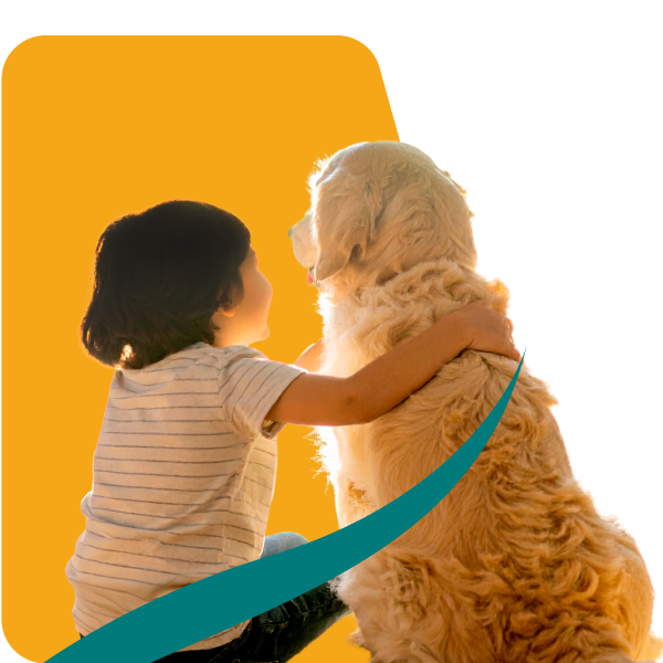 PetsAngel_Tanatologia_Imagen_01b