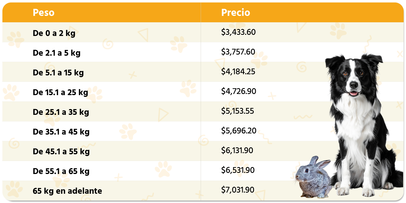 PetsAngel_Servicios_Necesidad-Inmediata_Tabla-b